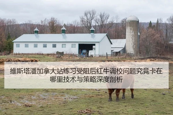 维斯塔潘加拿大站练习受阻后红牛调校问题究竟卡在哪里技术与策略深度剖析