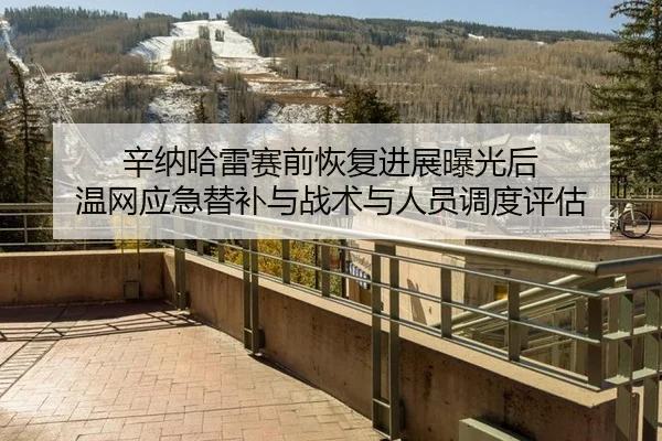 辛纳哈雷赛前恢复进展曝光后 温网应急替补与战术与人员调度评估
